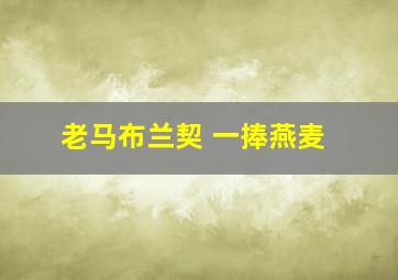 老马布兰契 一捧燕麦